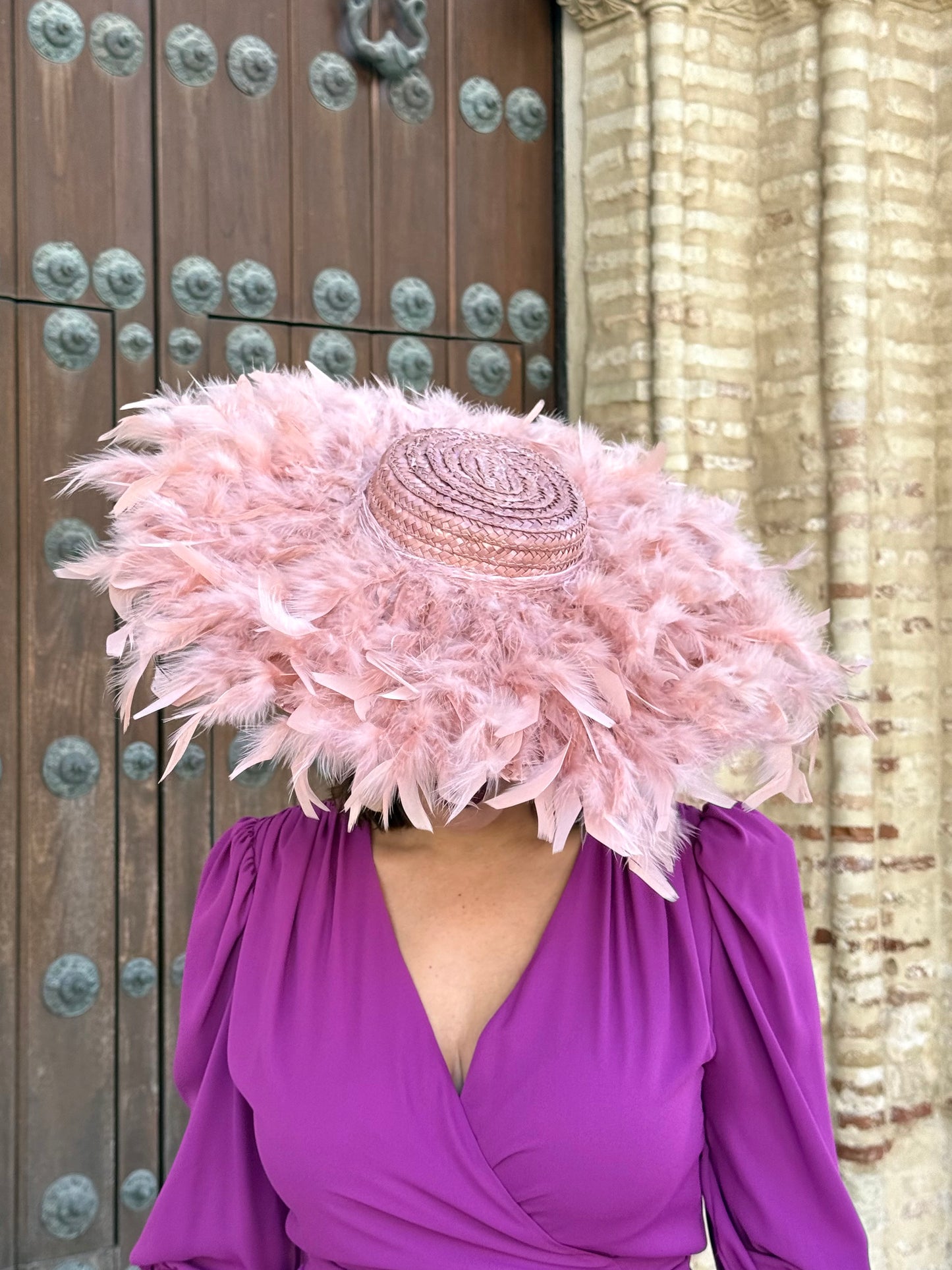 Pamela Rosa Empolvado con Plumas