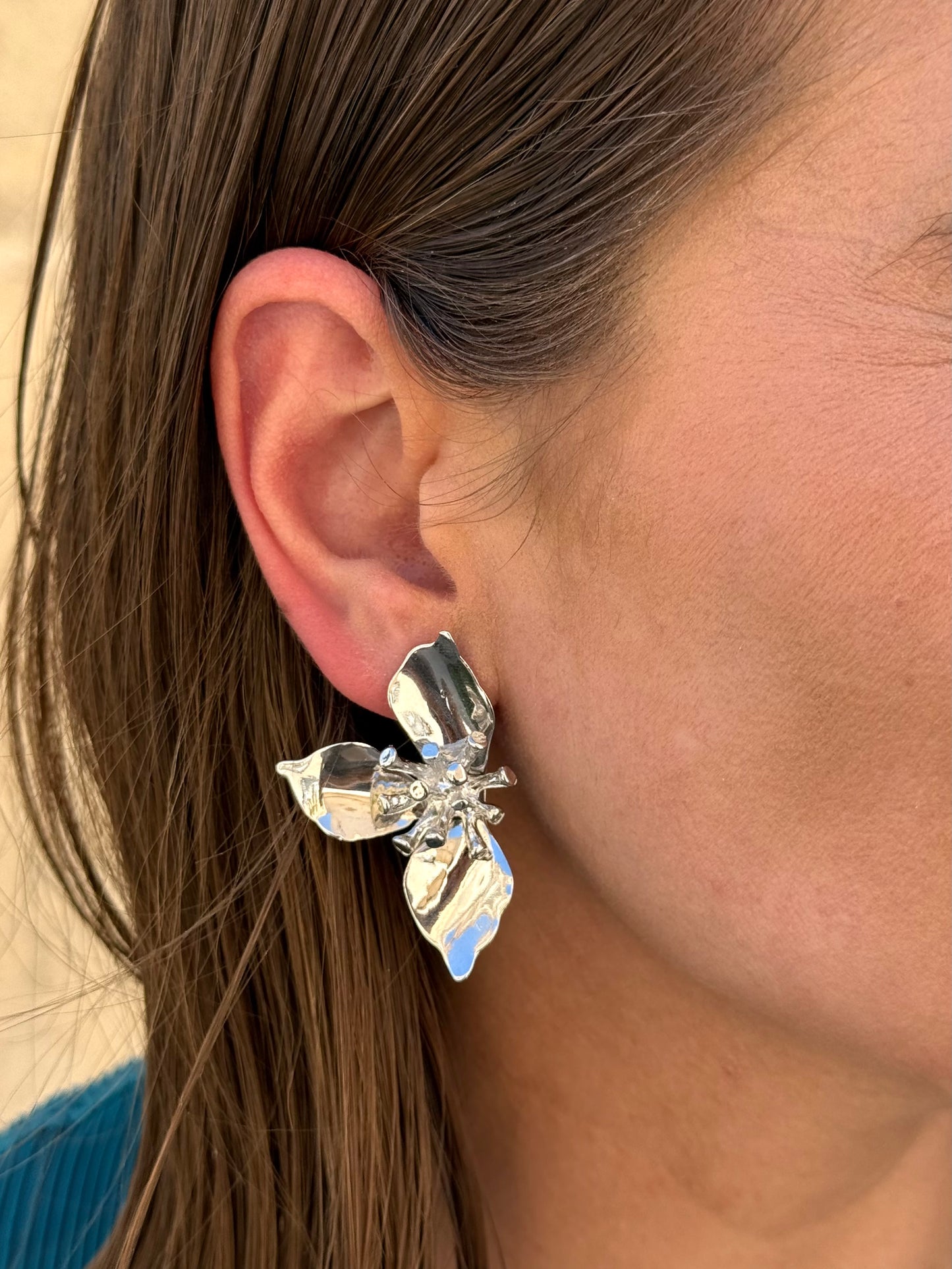 Pendientes Jardín Plata